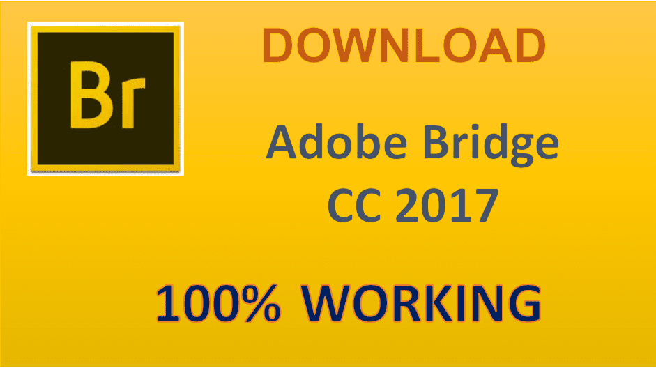 Hướng dẫn tải và cài đặt Adobe Bridge CC 2017 full crack